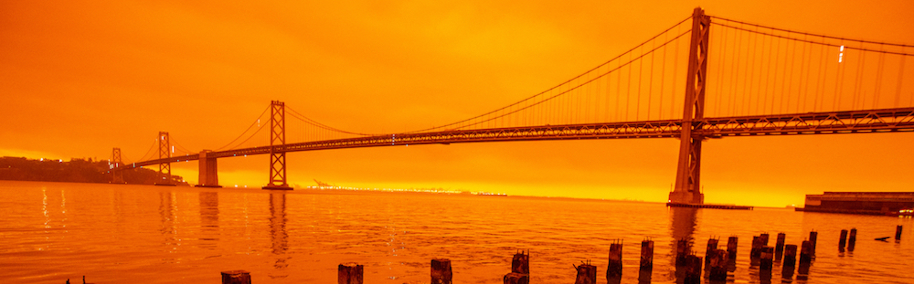Lo spettacolo apocalittico del cielo arancione per gli incendi in California