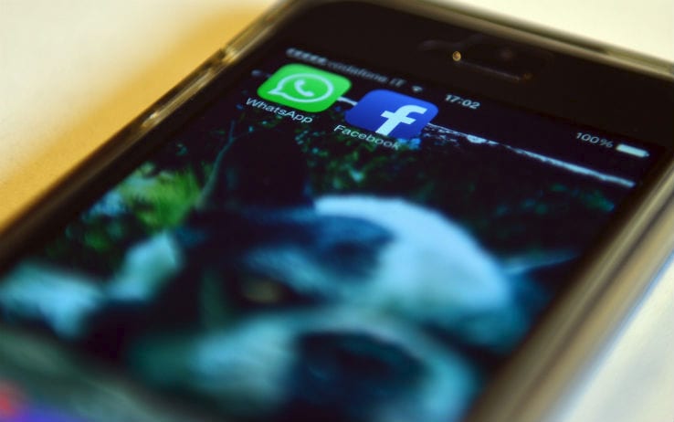 WhatsApp, nuove condizioni sulla privacy: ecco cosa cambia