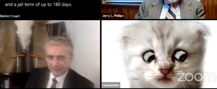 Il video dell’avvocato “prigioniero” di un filtro da gatto durante un’udienza processuale su Zoom
