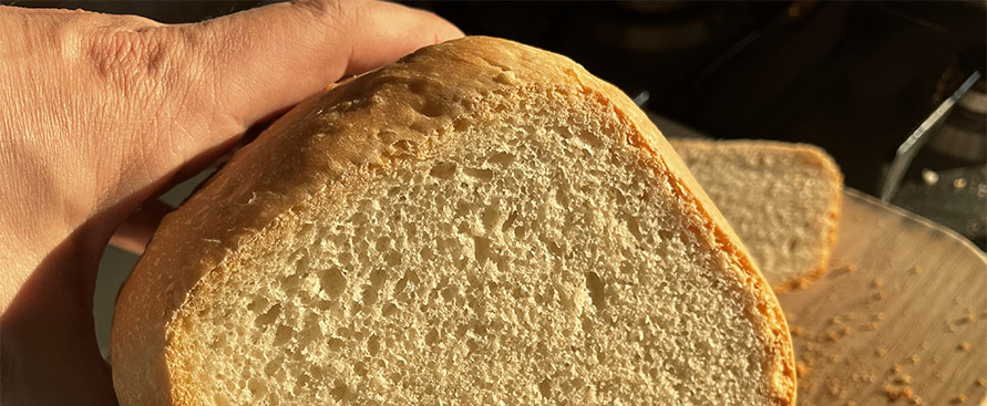 Le migliori macchine per fare il pane: Moulinex, Imetec e Panasonic 