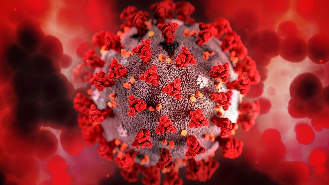 Coronavirus, in Sudafrica scoperta variante con molte mutazioni
