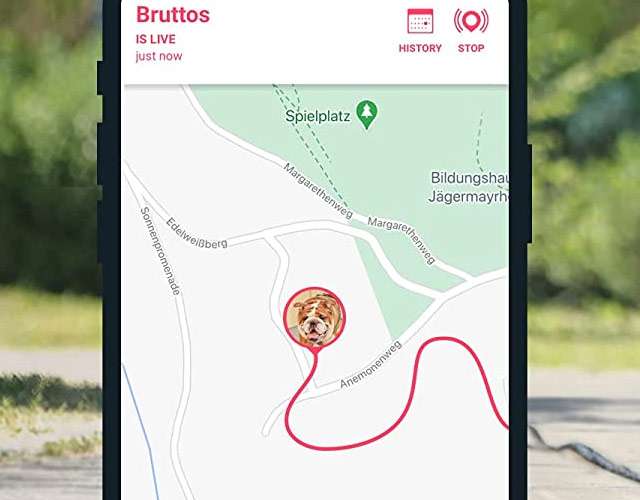 Il localizzatore GPS per cani e gatti di Tractive