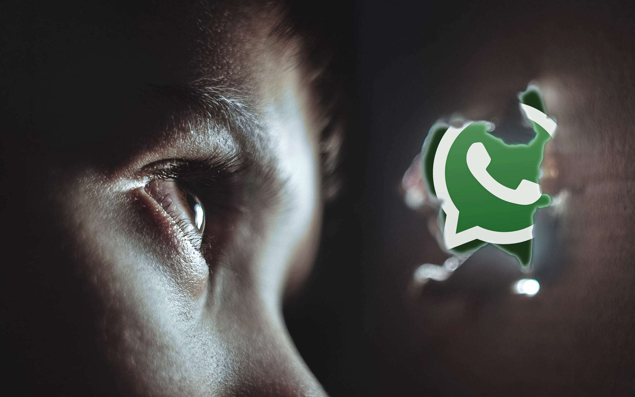 Codacons denuncia WhatsApp al Garante della Privacy