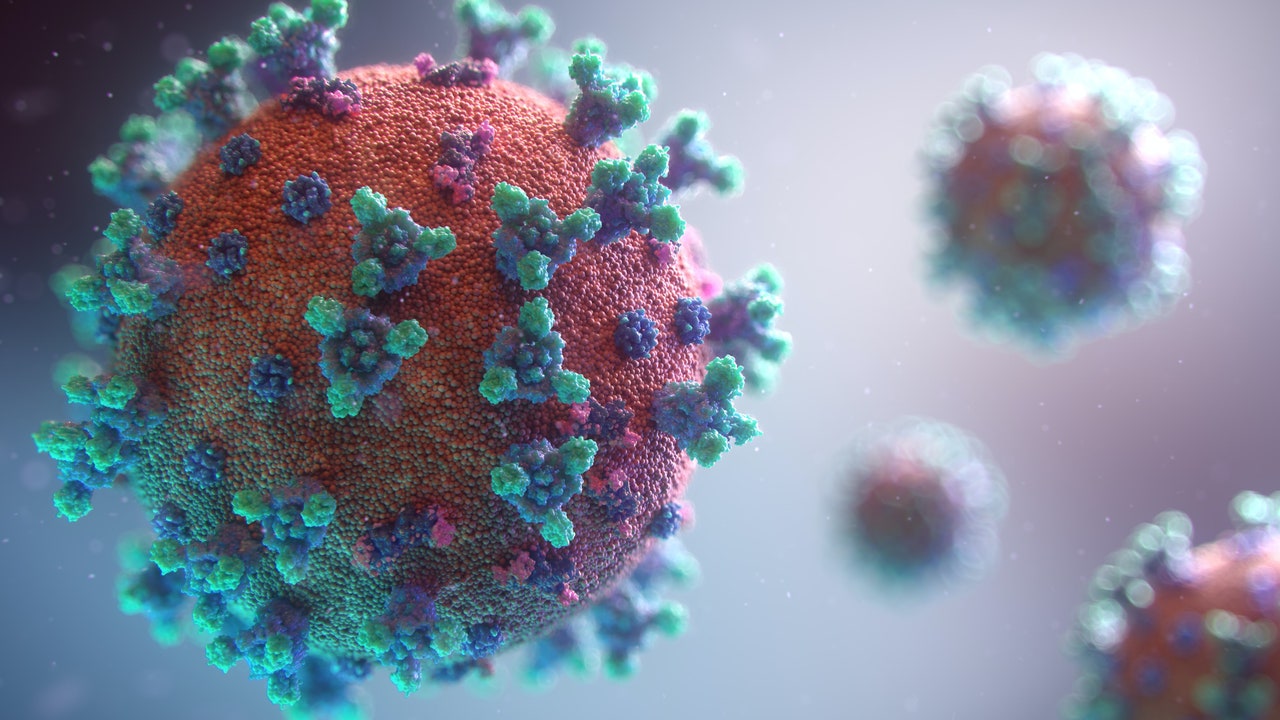 Coronavirus, cosa sappiamo sulla nuova variante scoperta in Sudafrica