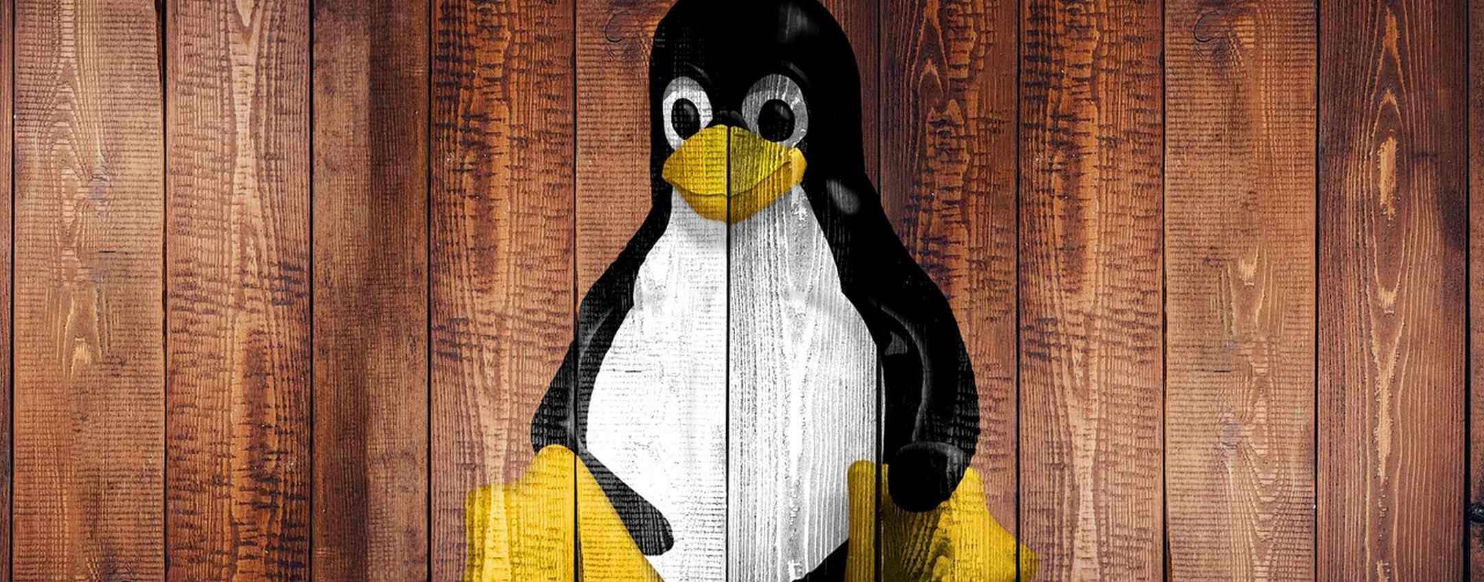 Linux, risolta una vulnerabilità vecchia di 5 anni
