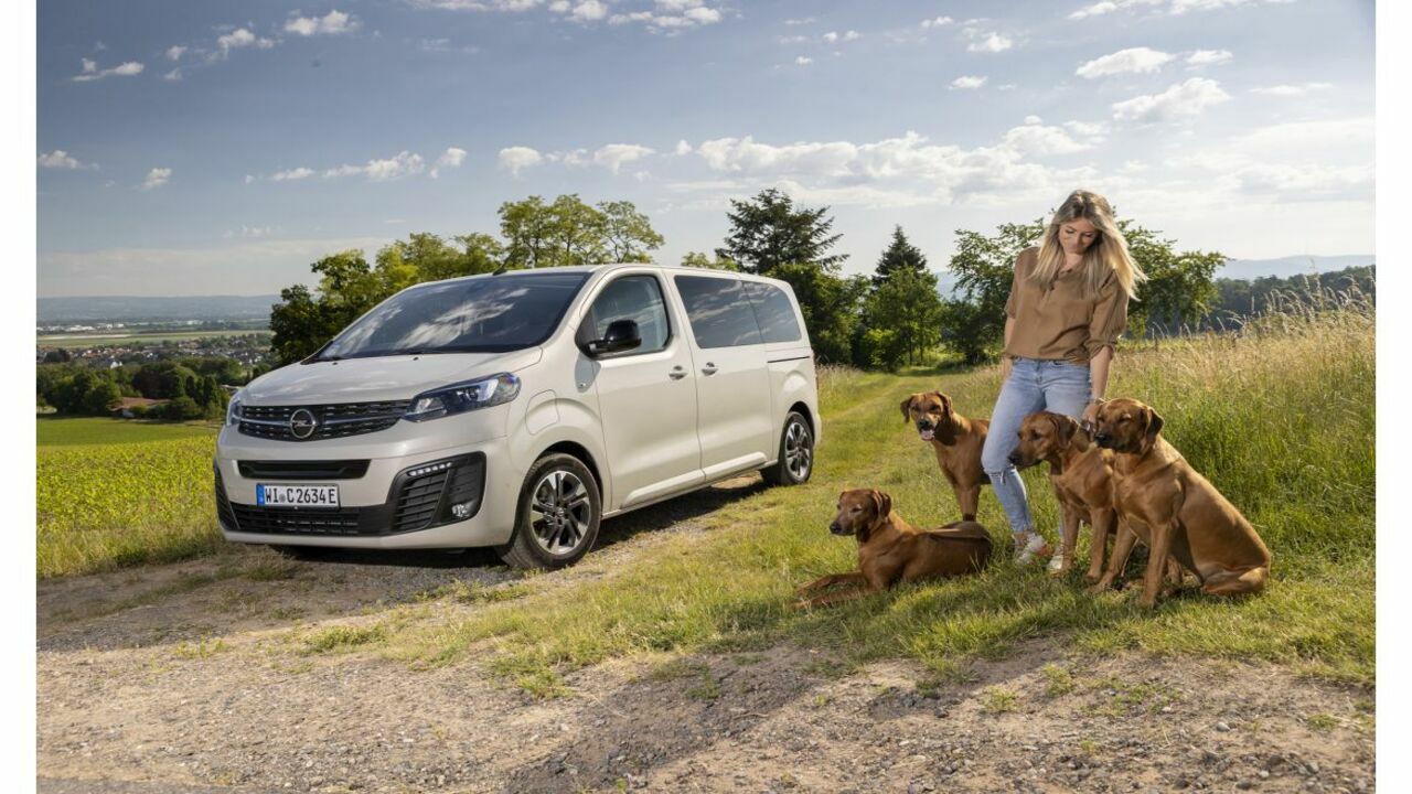 Opel crea l’auto da sogno per i quattro zampe: la nuova Zafira è lelettrica a prova di cane