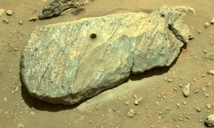 NASA Perseverance ha depositato il sesto campione sulla superficie di Marte