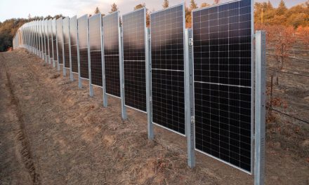 Pannelli fotovoltaici verticali per agricoltura e architettura, la proposta innovativa di Sunzaun