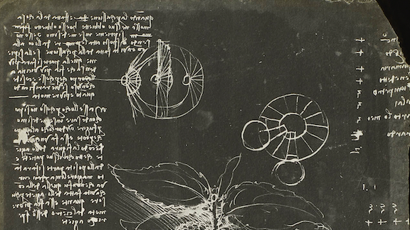 Leonardo da Vinci: ora il suo Codice Atlantico si può consultare digitalmente