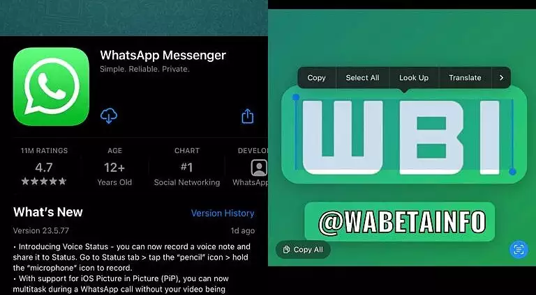 WhatsApp copia testo immagini iOS