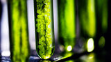 Perovskite: una ricerca universitaria mostra come ottenere nuovi nanomateriali dalle alghe