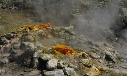 Campi Flegrei: cosa sta succedendo nell’area vulcanica