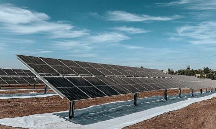 Agrivoltaico: Solitek aprirà una fabbrica di moduli solari a Benevento