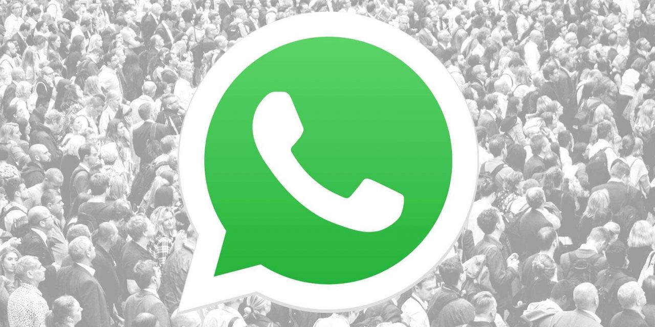 WhatsApp: maggiore trasparenza sulla privacy