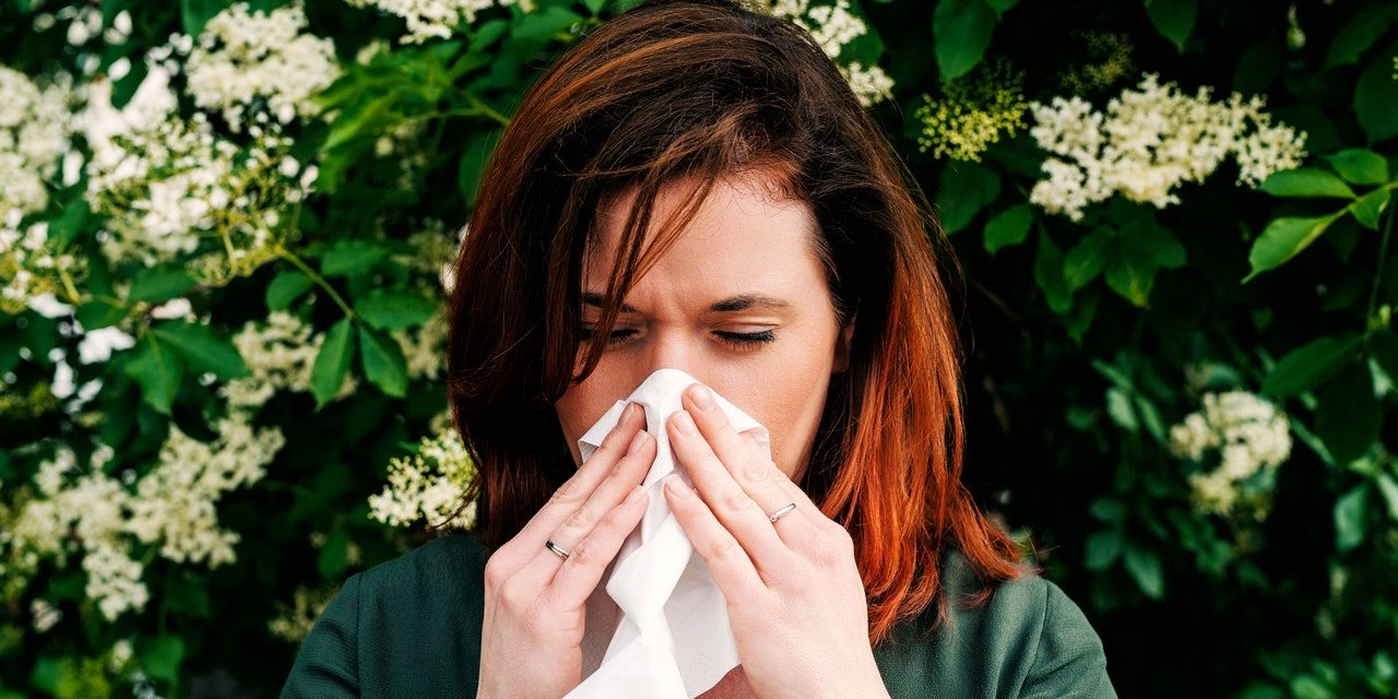 Allergia, perché ne soffriamo sempre di più
| Wired Italia
