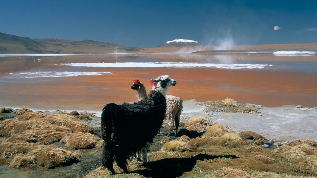 12 laghi dai colori incredibili
| Wired Italia