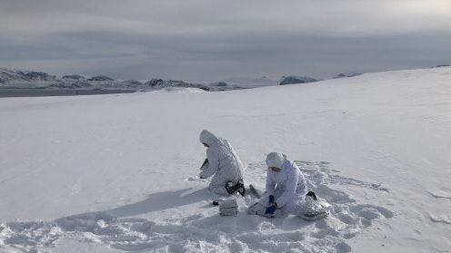 Polo Nord, trovate nelle nevi tracce di creme solari e altri prodotti inquinanti