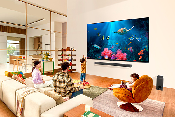 LG TV QNED 2024