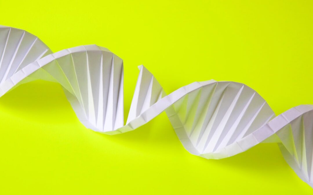 La matematica per costruire con il dna che si ispira agli origami