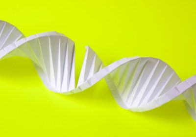 La matematica per costruire con il dna che si ispira agli origami