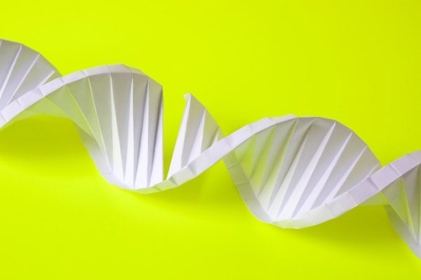 La matematica per costruire con il dna che si ispira agli origami