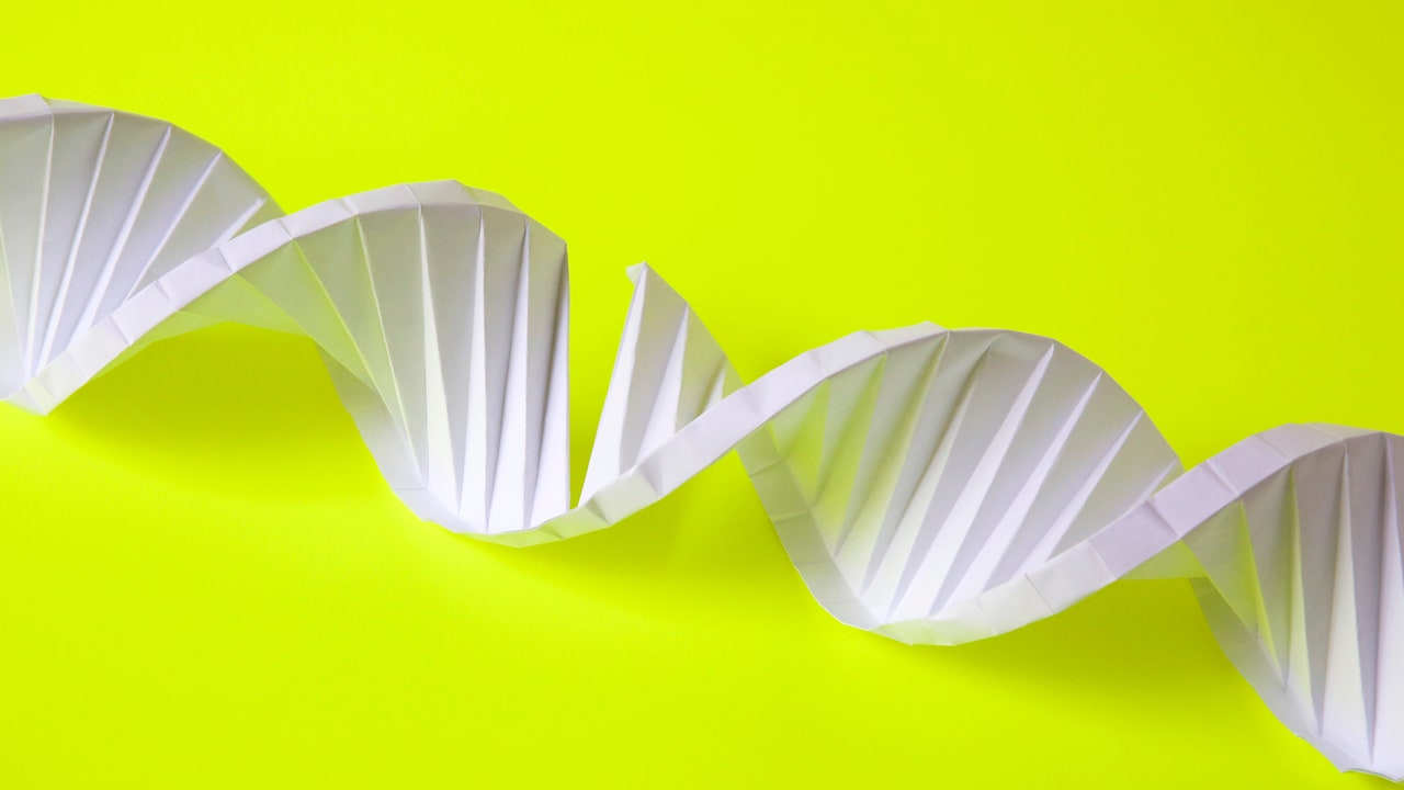 La matematica per costruire con il dna che si ispira agli origami