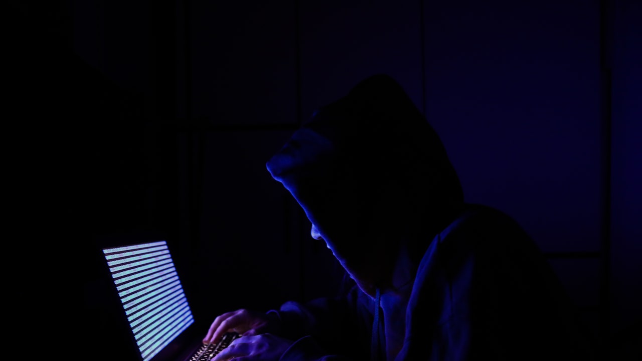 Europol smantella una delle più grandi reti di botnet al mondo