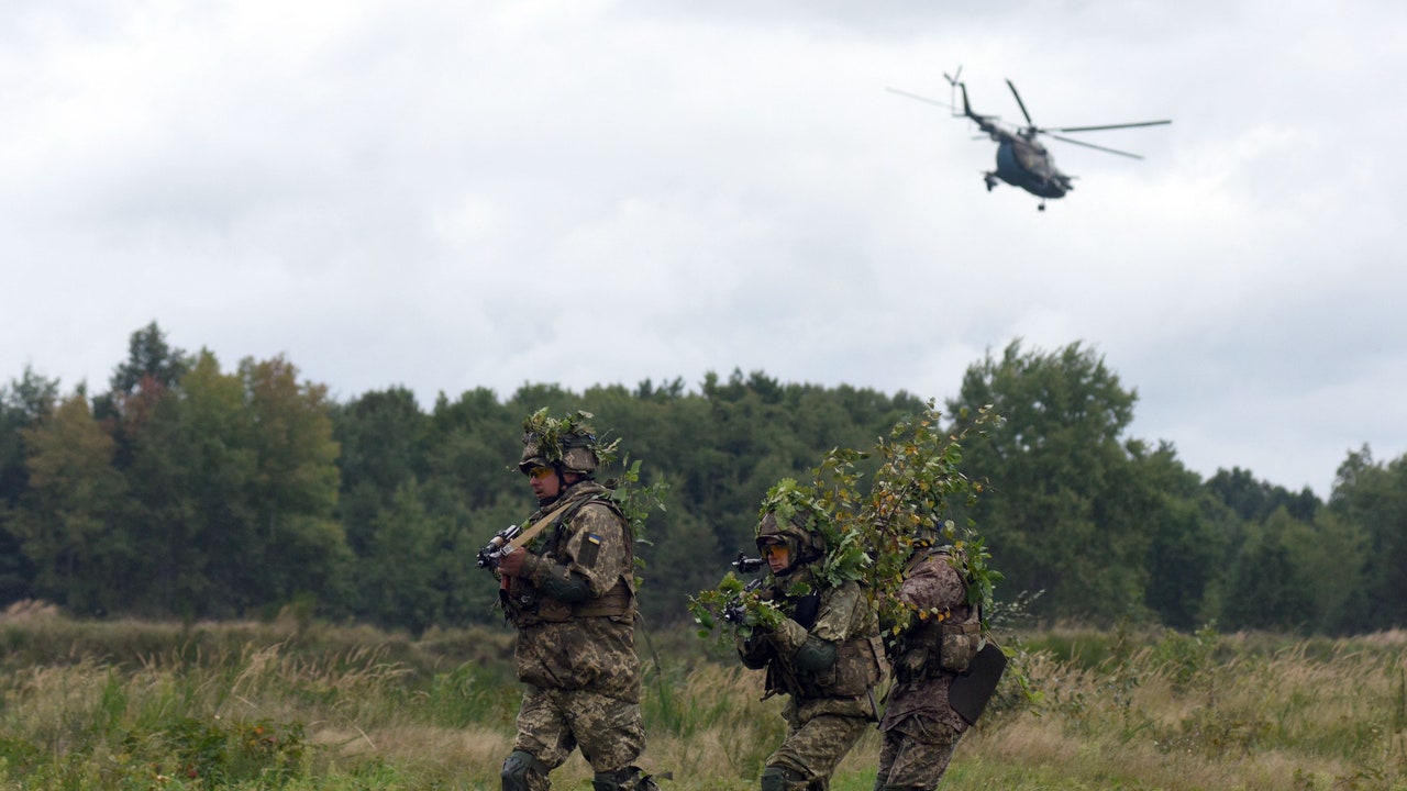 Elezioni europee, cosa dicono i programmi dei partiti sulla guerra