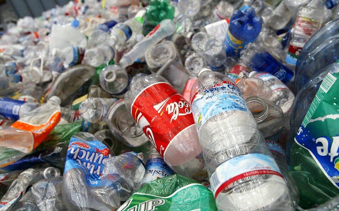Plastica monouso, l’Ue ha aperto una procedura di infrazione contro l’Italia