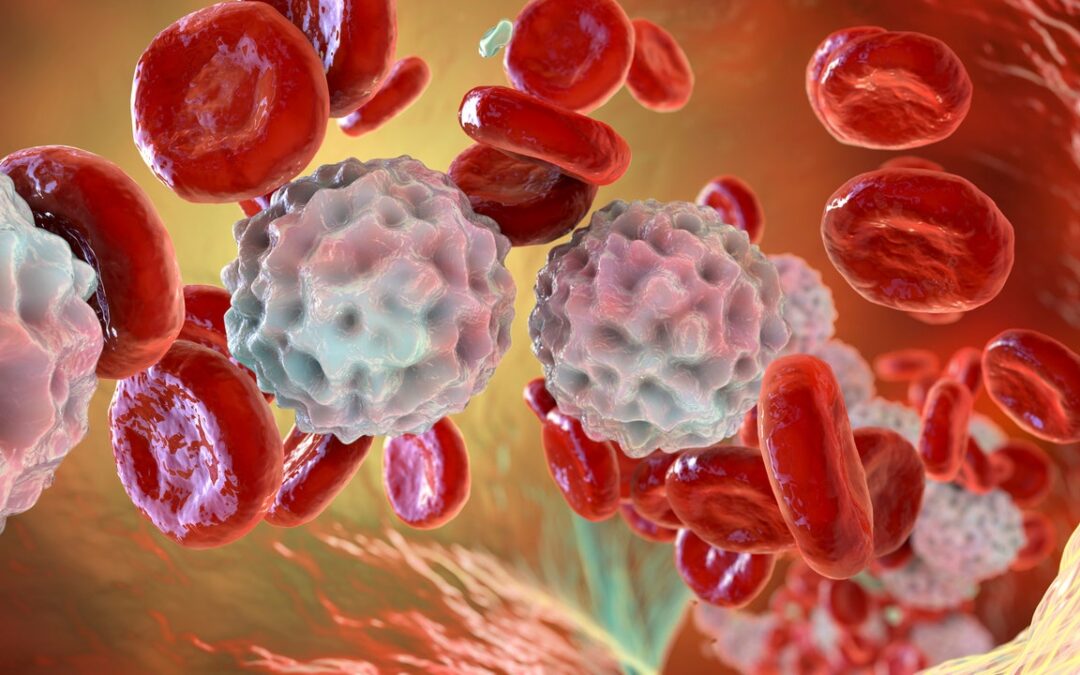 Leucemia, testata una nuova tecnica per sostituire gradualmente il sangue malato con quello sano