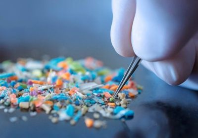 Le microplastiche sono arrivate anche nei testicoli umani