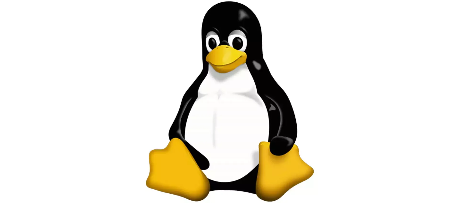 Che kernel Linux usa Linus Torvalds? Ecco la risposta