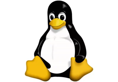 Che kernel Linux usa Linus Torvalds? Ecco la risposta
