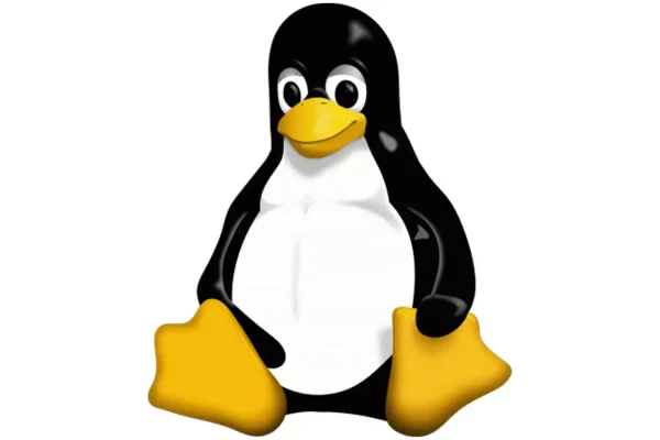Che kernel Linux usa Linus Torvalds? Ecco la risposta