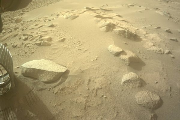 NASA Perseverance ha ''raccolto'' un altro sasso in una ruota, il suo nome è Dwayne