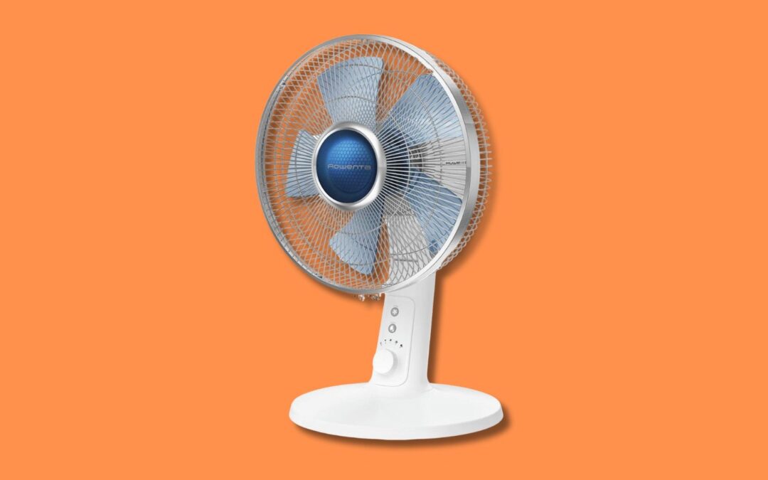 I migliori ventilatori per tutti i budget e tutti i tipi di caldo