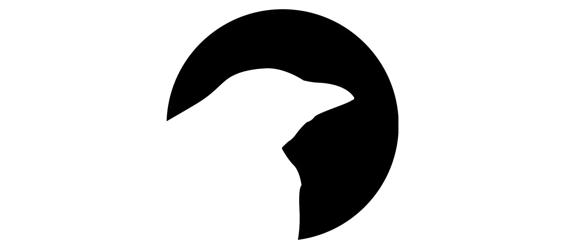 FreeBSD uguale a macOS? Arriva ravynOS