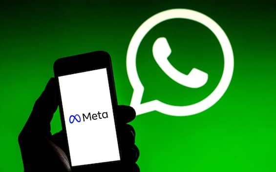 WhatsApp, nuovi termini e condizioni: cosa cambia
