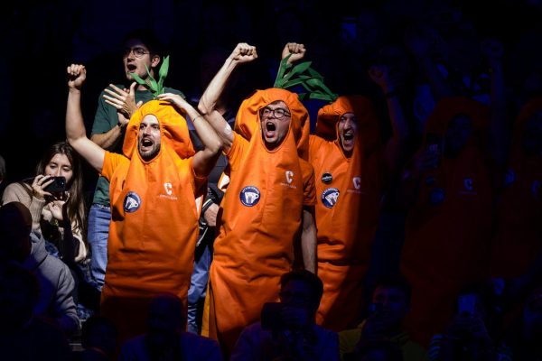 Sinner diventa il numero 1 al mondo: chi sono i Carota Boys, i fan del tennista che hanno conquistato i social