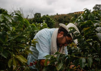 Caffè, il piano del G7 per salvarlo