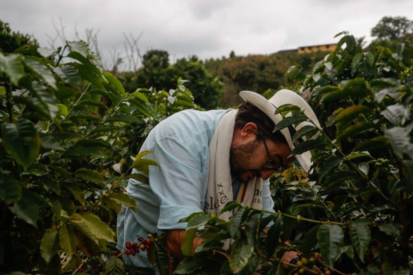Caffè, il piano del G7 per salvarlo