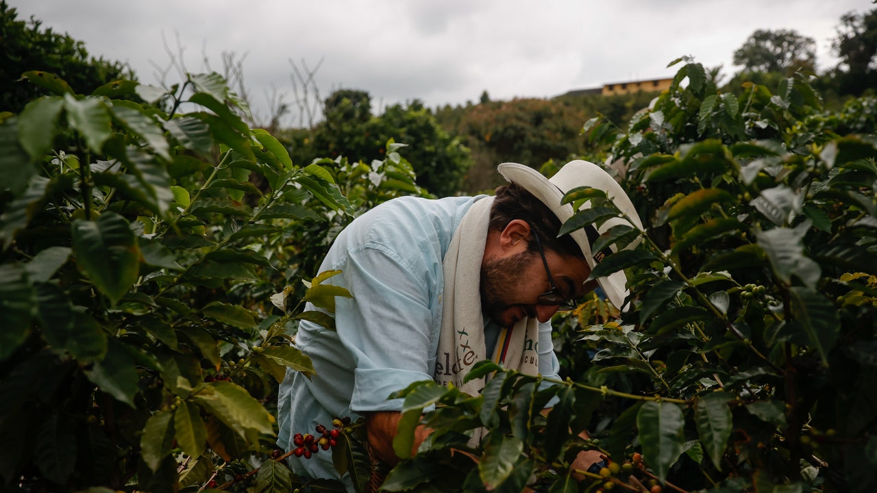 Caffè, il piano del G7 per salvarlo