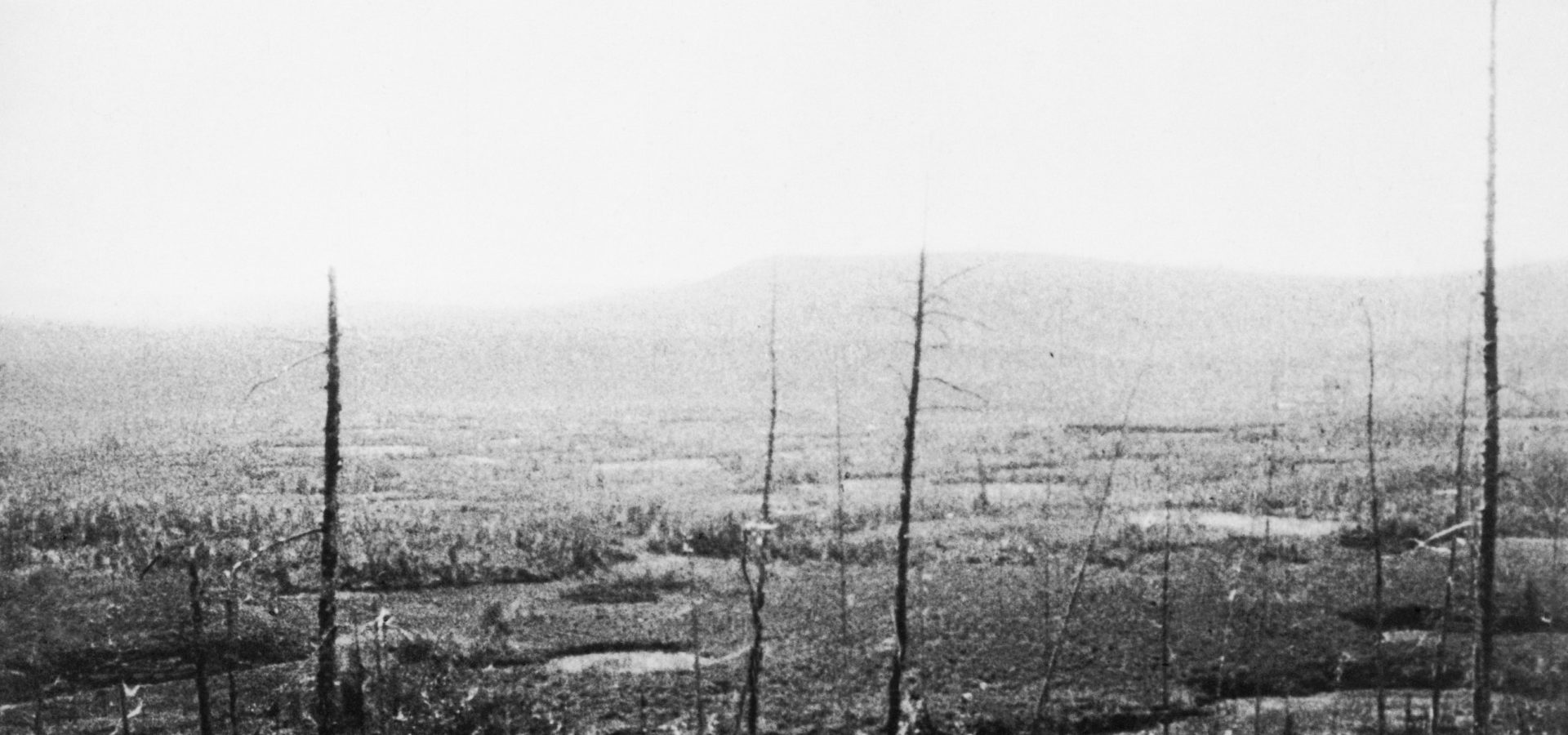 Asteroidi, 10 cose che forse non sai sull’impatto di Tunguska