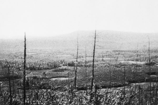 Asteroidi, 10 cose che forse non sai sull’impatto di Tunguska