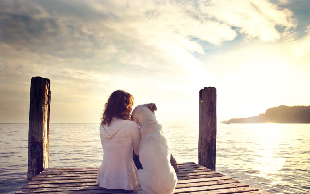 Cani, non sono solo compagni di vita, ma anche “sentinelle” della salute