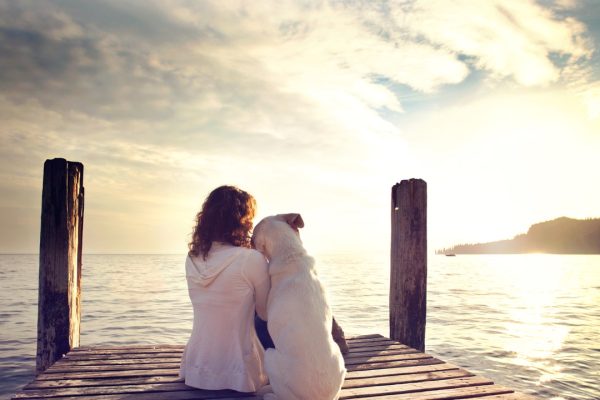 Cani, non sono solo compagni di vita, ma anche “sentinelle” della salute