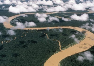 Elon Musk ha portato internet fin nel cuore dell’Amazzonia. E diviso un popolo