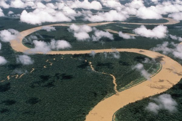 Elon Musk ha portato internet fin nel cuore dell’Amazzonia. E diviso un popolo