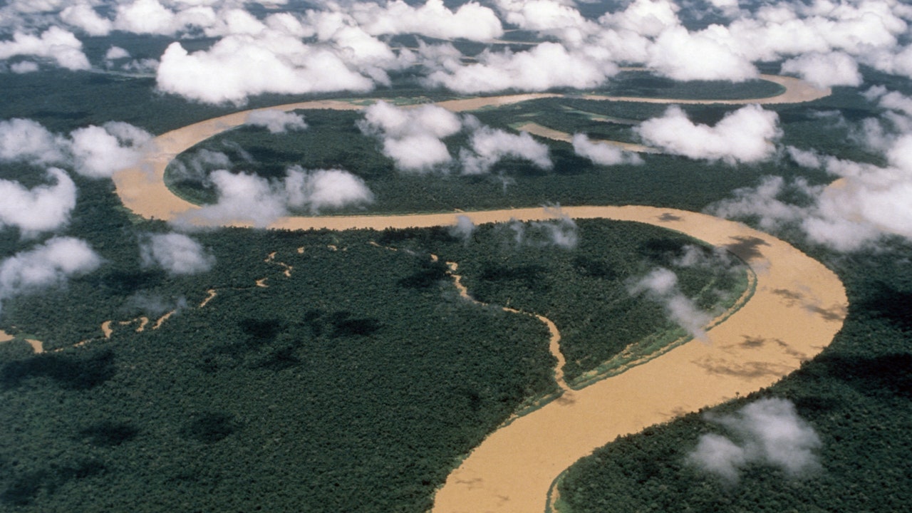 Elon Musk ha portato internet fin nel cuore dell’Amazzonia. E diviso un popolo