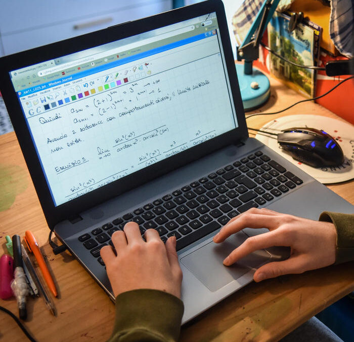 Le competenze digitali degli italiani sono al di sotto della media dell’UE – Future Tech